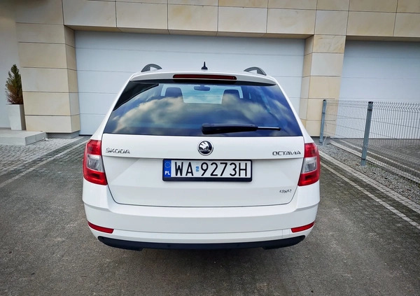 Skoda Octavia cena 83500 przebieg: 148000, rok produkcji 2020 z Dęblin małe 106